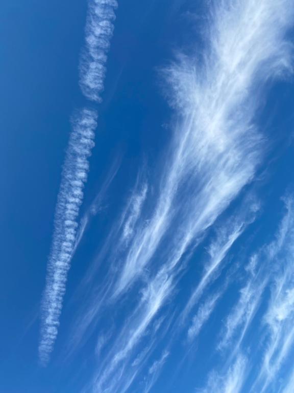 追加出勤いたします｜写メ日記｜とも｜新宿 人妻デリヘル 新宿・新大久保おかあさん