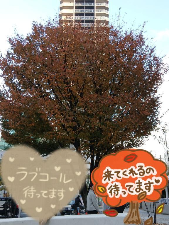 明日は...｜写メ日記｜いぶき｜新宿 人妻デリヘル 新宿・新大久保おかあさん