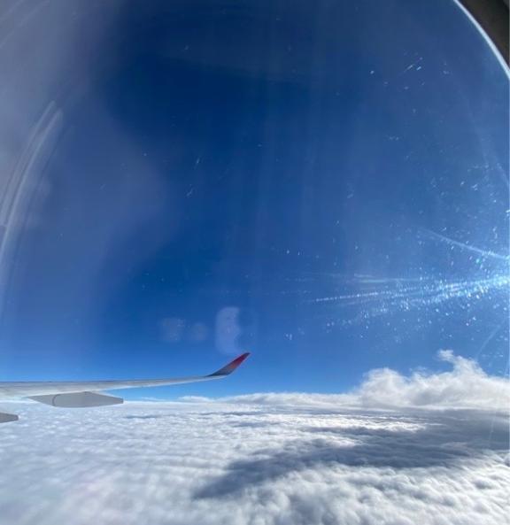 そりゃそうだ｜写メ日記｜こころ｜新宿 人妻デリヘル 新宿・新大久保おかあさん