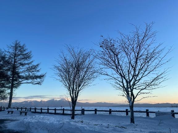 ドライブ〜｜写メ日記｜こころ｜新宿 人妻デリヘル 新宿・新大久保おかあさん