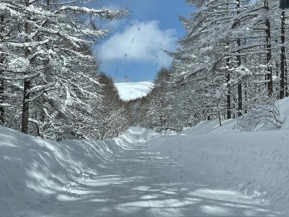 今日も早起きっ｜写メ日記｜こころ｜新宿 人妻デリヘル 新宿・新大久保おかあさん