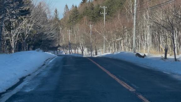 飛び出し注意｜写メ日記｜こころ｜新宿 人妻デリヘル 新宿・新大久保おかあさん