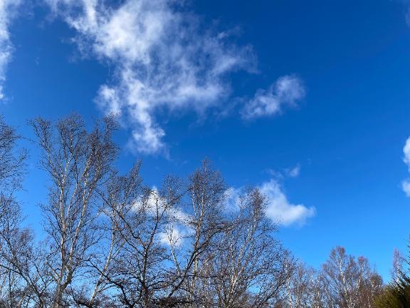 ご予約状況ですっ｜写メ日記｜こころ｜新宿 人妻デリヘル 新宿・新大久保おかあさん