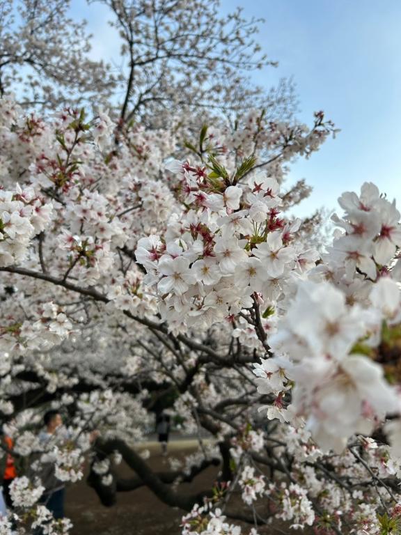 待機中｜写メ日記｜いろは｜新宿 人妻デリヘル 新宿・新大久保おかあさん