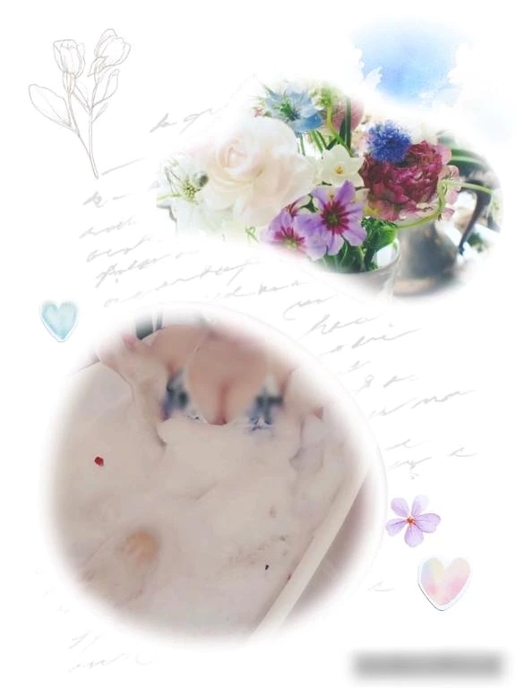 4月スタート✨｜写メ日記｜まひろ｜池袋 人妻デリヘル 池袋おかあさん