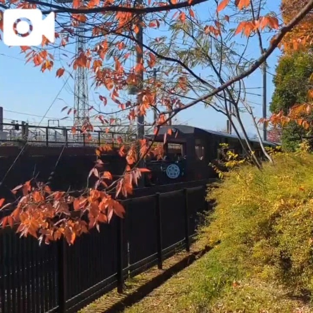 こっちもいいよ