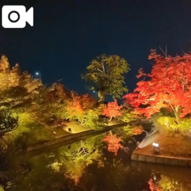 「国宝」観てきました！