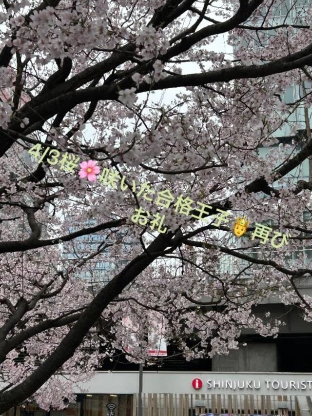 4/3桜🌸咲いた合格王子🤴御礼｜写メ日記｜ことぶき｜池袋 人妻デリヘル 池袋おかあさん