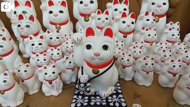 おはようございます/動かしてみました🐱