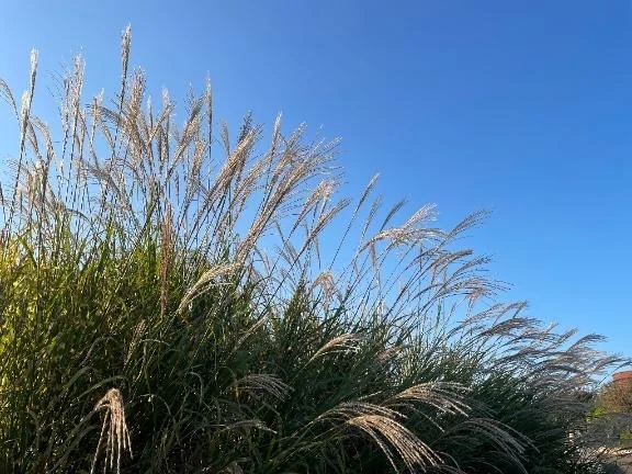 おはようございま〜す