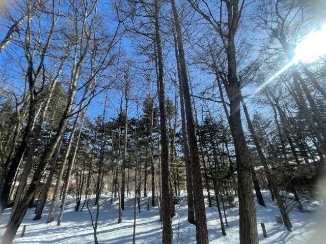 あけましておめでとうございます🎍
