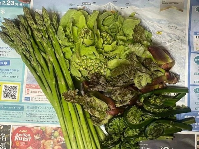 本日の晩ごはん🍚｜写メ日記｜こころ｜池袋 人妻デリヘル 池袋おかあさん