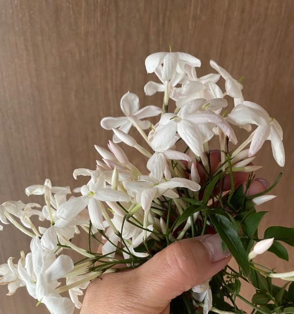 おはようございます！｜写メ日記｜こころ｜池袋 人妻デリヘル 池袋おかあさん