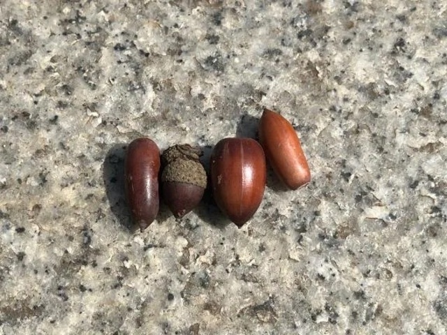 やっぱり…😭｜写メ日記｜はな｜池袋 人妻デリヘル 池袋おかあさん