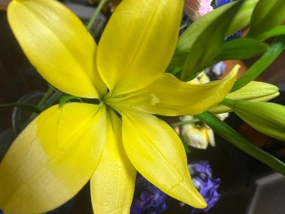 お休みです💦｜写メ日記｜はな｜池袋 人妻デリヘル 池袋おかあさん