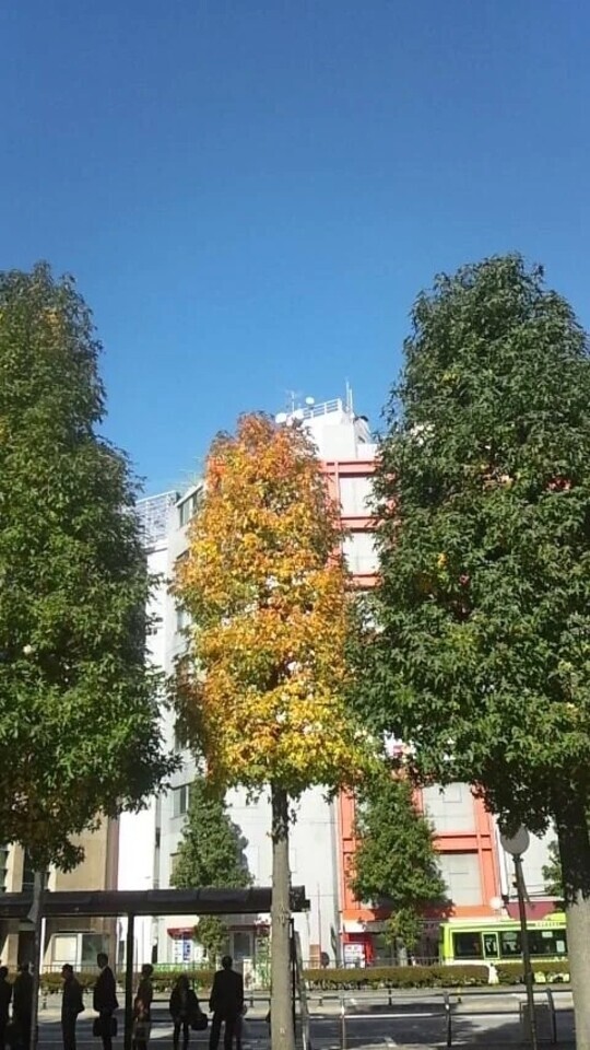 出勤しました。