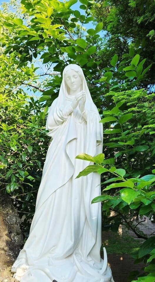 25日　木曜日　出勤致します。