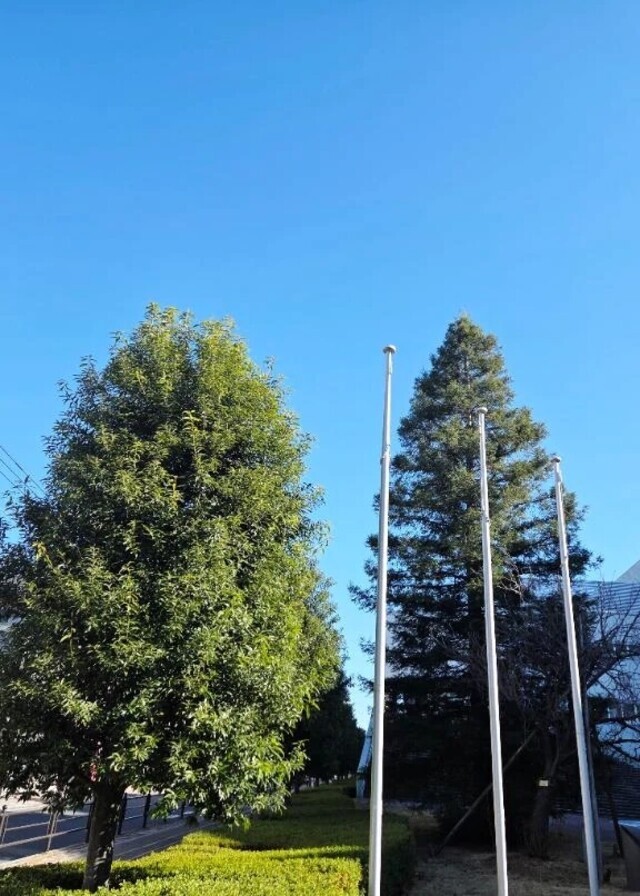 快晴の中の出会い☀️｜写メ日記｜ますみ｜池袋 人妻デリヘル 池袋おかあさん