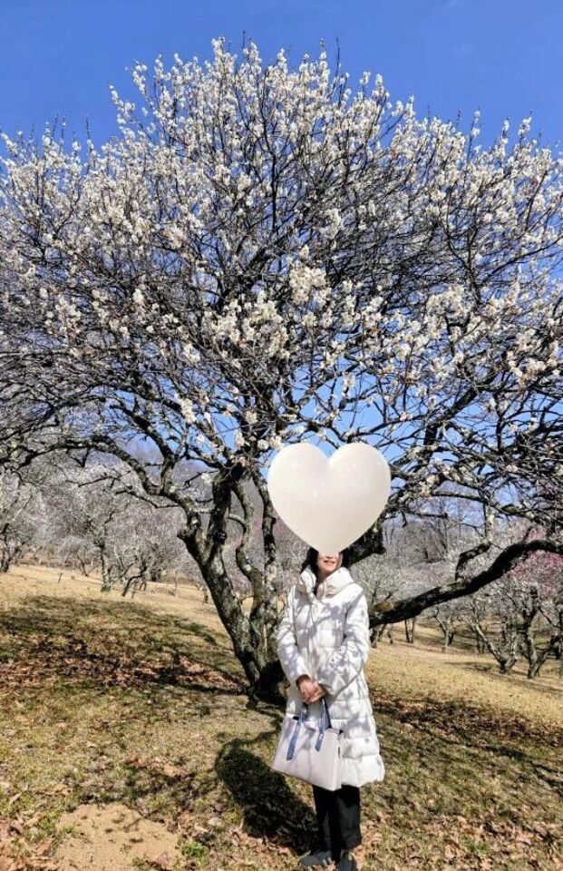 梅が美しい。｜写メ日記｜ますみ｜池袋 人妻デリヘル 池袋おかあさん