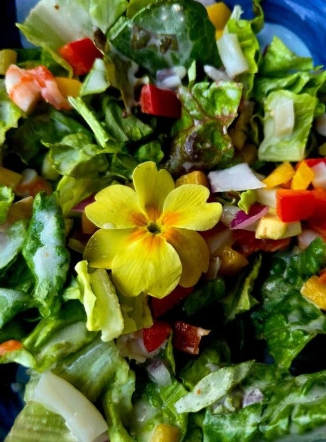 新年度の始まりです。｜写メ日記｜ますみ｜池袋 人妻デリヘル 池袋おかあさん