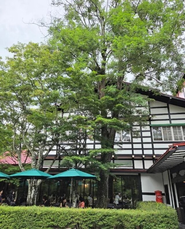 今日は大変ありがとうございました。｜写メ日記｜ますみ｜池袋 人妻デリヘル 池袋おかあさん