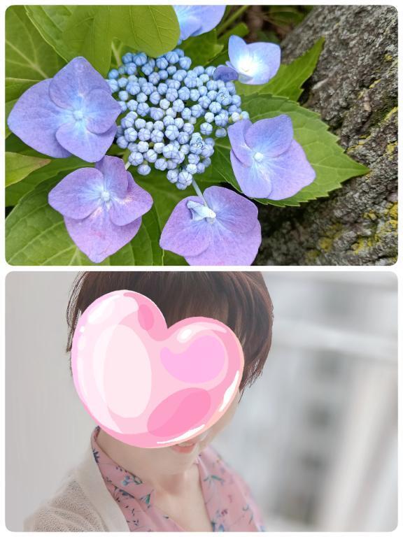 出勤します｜写メ日記｜ことね｜池袋 人妻デリヘル 池袋おかあさん