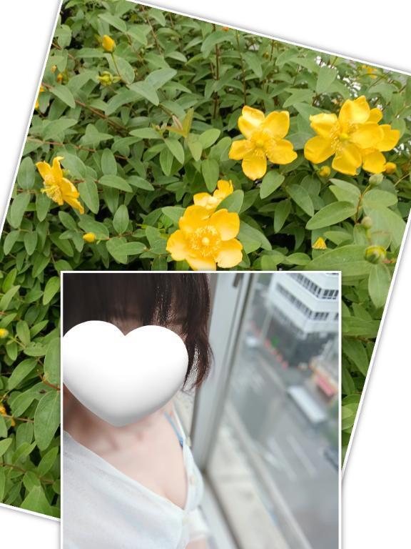 ありがとうございました｜写メ日記｜ことね｜池袋 人妻デリヘル 池袋おかあさん