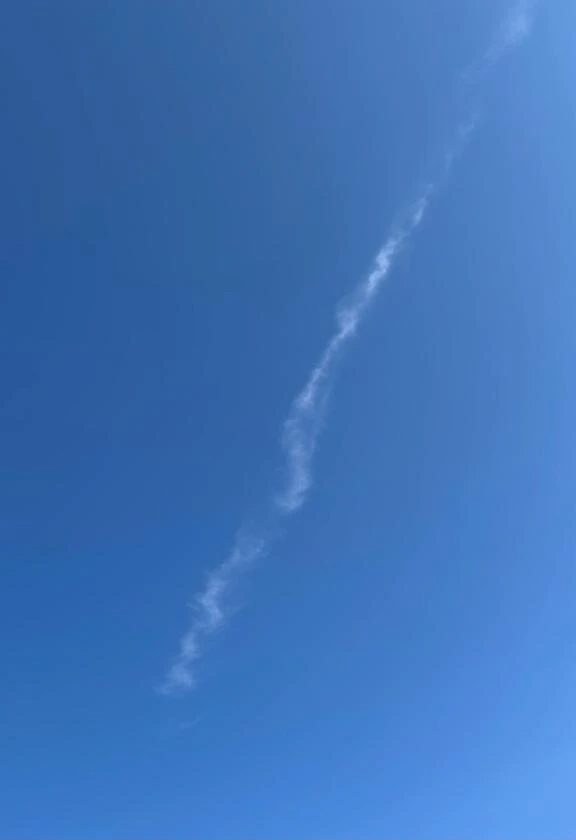 龍神様！？｜写メ日記｜たまき｜池袋 人妻デリヘル 池袋おかあさん