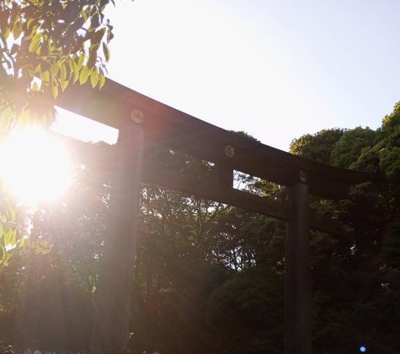 今日も