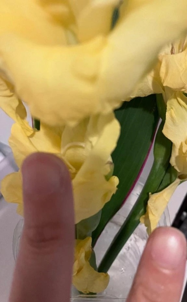 初めまして様☺️｜写メ日記｜とも｜池袋 人妻デリヘル 池袋おかあさん