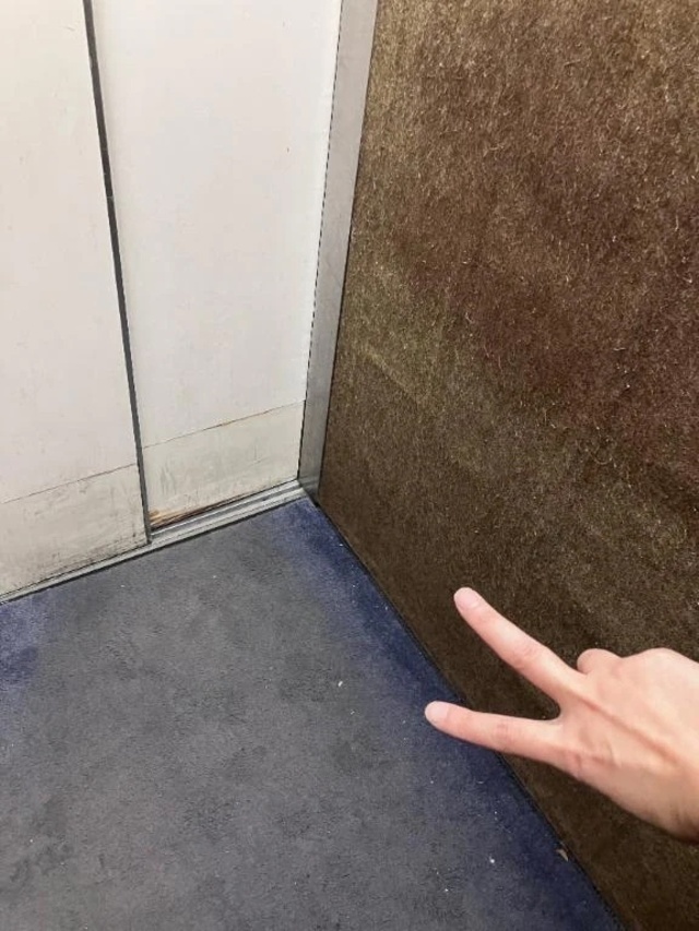 今宵のオオトリ様☺️｜写メ日記｜とも｜池袋 人妻デリヘル 池袋おかあさん