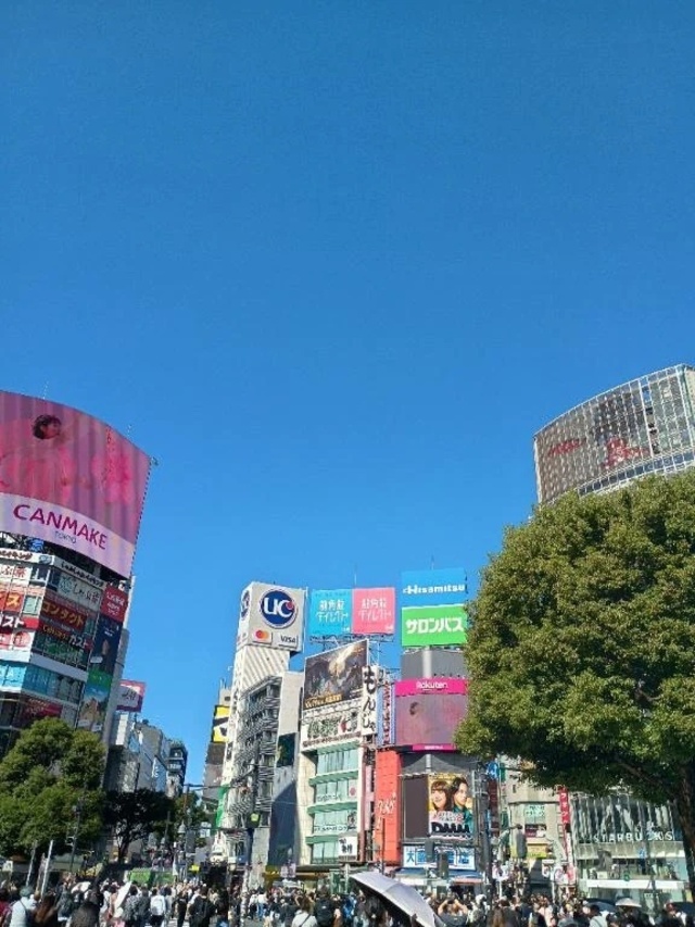 おはようございます。