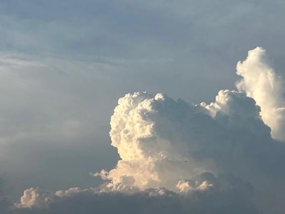 おはようございます