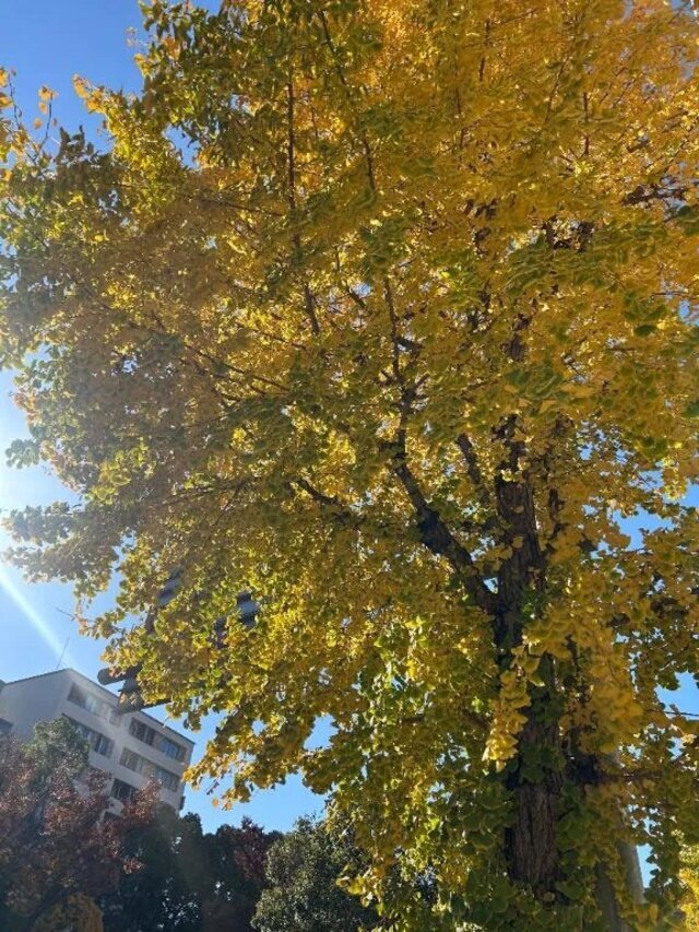 13時より｜写メ日記｜ゆう｜池袋 人妻デリヘル 池袋おかあさん