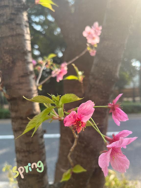 こんにちは🎶｜写メ日記｜みさき｜池袋 人妻デリヘル 池袋おかあさん