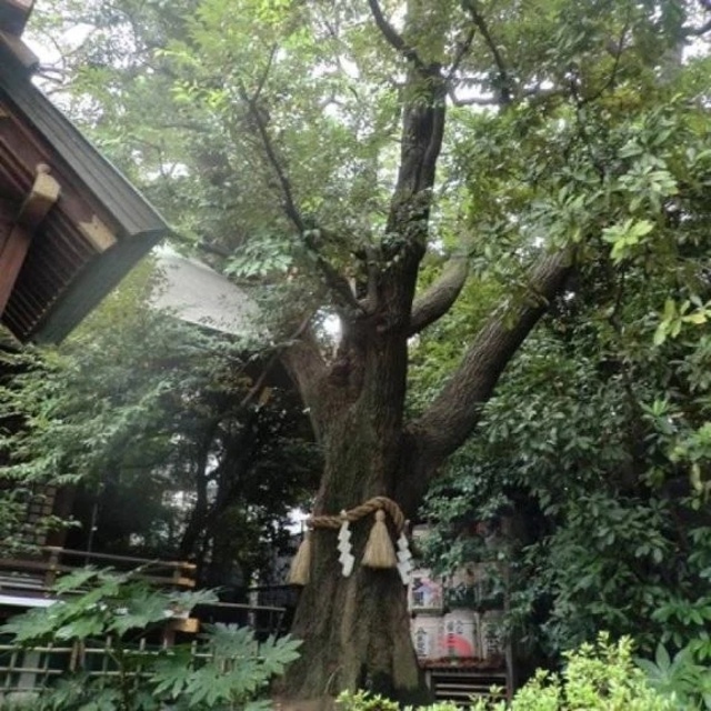 出勤致しました✨