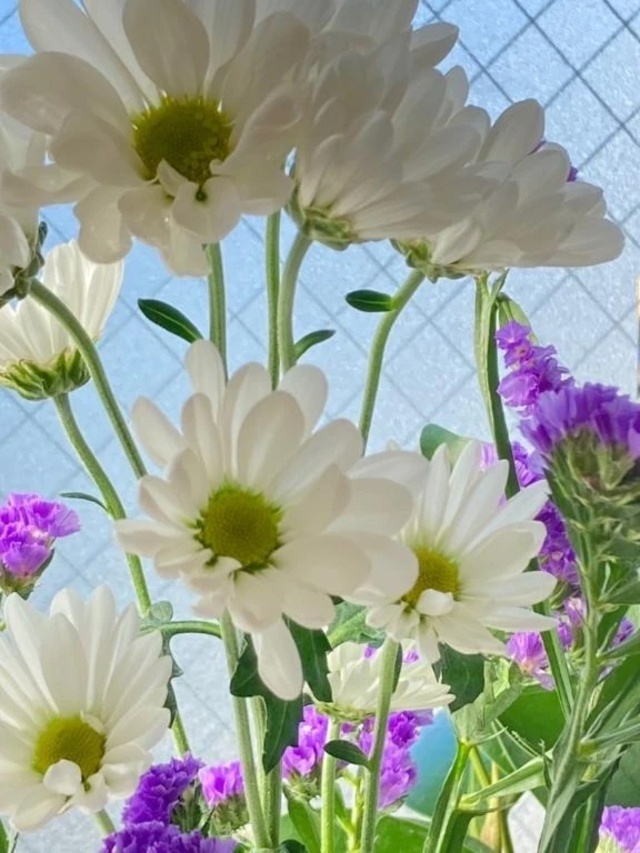 出勤致しました😊