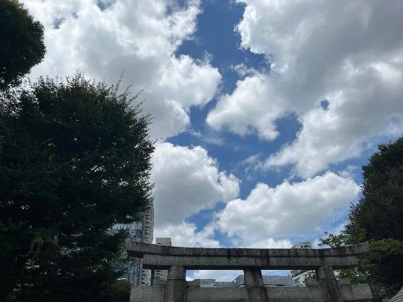 出勤致しました☀️