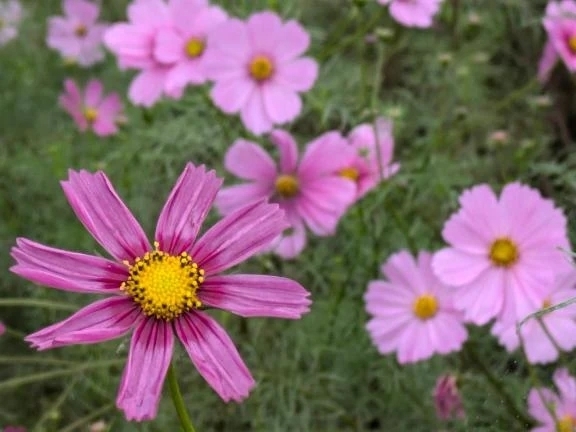 出勤致しました🍁