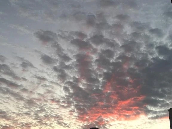 出勤致しました✨