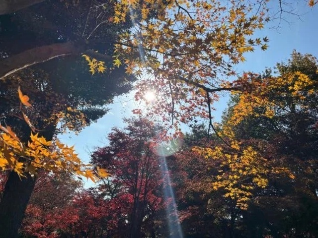 出勤致します✨