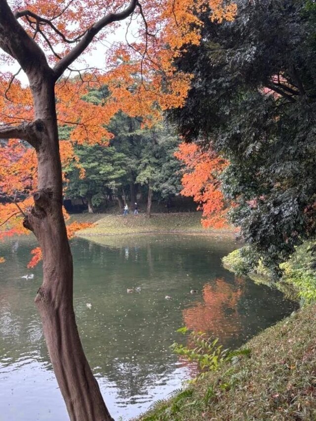 出勤致しました✨｜写メ日記｜みさき｜池袋 人妻デリヘル 池袋おかあさん
