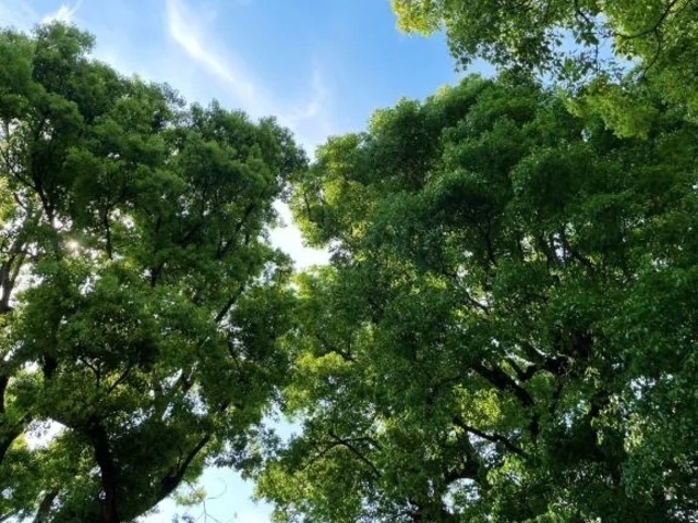 出勤致しました✨｜写メ日記｜みさき｜池袋 人妻デリヘル 池袋おかあさん