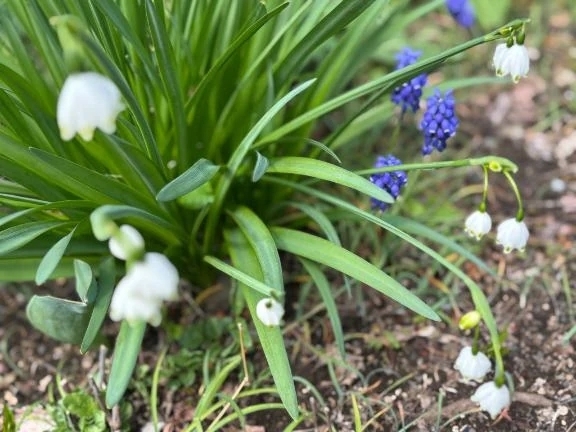 出勤致しました✨｜写メ日記｜みさき｜池袋 人妻デリヘル 池袋おかあさん