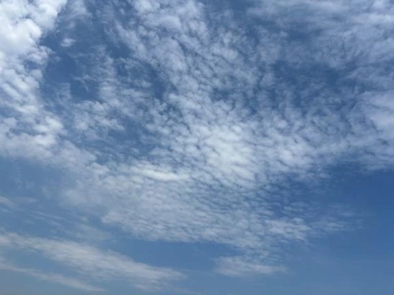 出勤致します✨｜写メ日記｜みさき｜池袋 人妻デリヘル 池袋おかあさん