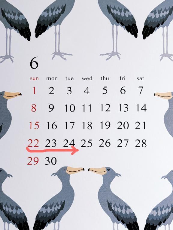 出勤予定です🗓️