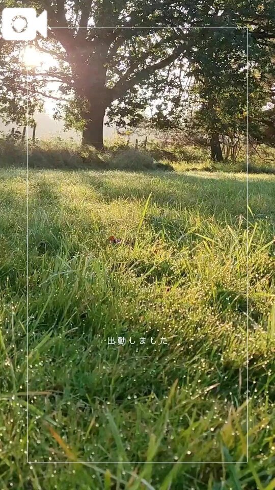 出勤しました😊✨