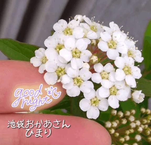 おつかれさまでした🙇✨