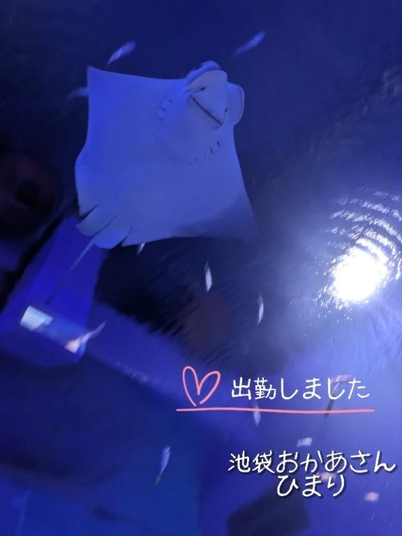 出勤しました😊✨