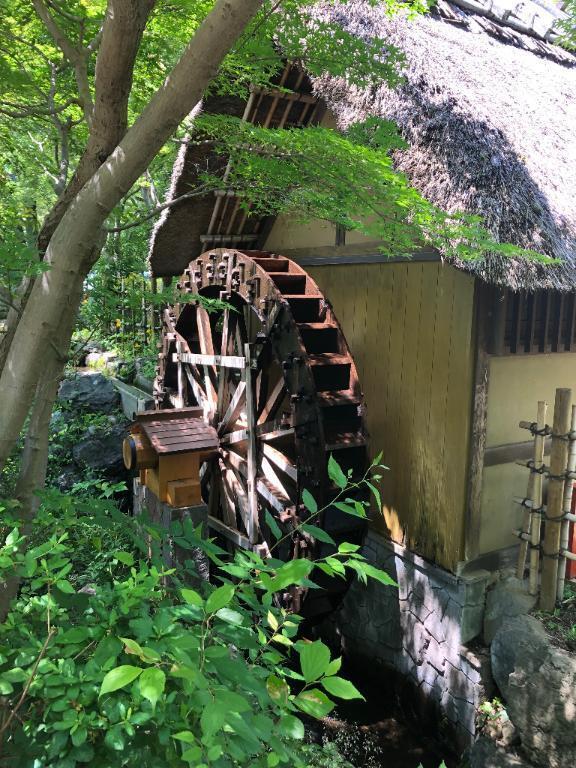 新緑の世界へ｜写メ日記｜ふみか｜池袋 人妻デリヘル 池袋おかあさん